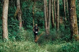 BIB: 
                            <button type="button" onclick="openModal(25237174)" class="btn btn-primary btn-sm float-right btn-popup" data-toggle="modal" data-target=".modal-high-quality">
                        <i class="fas fa-shopping-cart"></i> Add to Cart
                    </button>
                                            <button type="button" onclick="isThisMe(25237174, true)" class="btn btn-success btn-sm float-right btn-popup btn-isme hidden" data-toggle="tooltip" data-placement="bottom" title="นี่คือรูปของคุณใช่ไหม คลิกที่นี่เพื่อเอาเข้าอัลบั้ม">
                        <i class="fas fa-plus"></i> Add to album
                    </button>
                    <button type="button" onclick="isThisMe(25237174, false)" class="btn btn-warning btn-sm float-right btn-popup btn-isnotme hidden">
                        <i class="fas fa-ban"></i> Remove from album
                    </button>